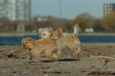 Apr30_07_093.JPG