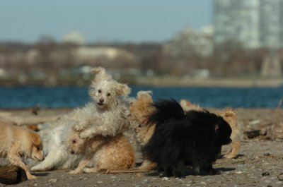 Apr30_07_094.JPG