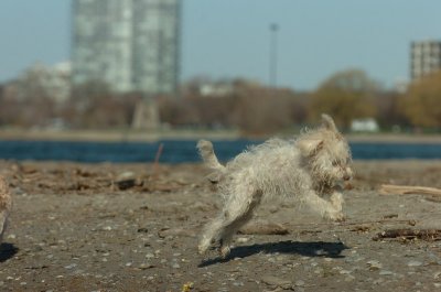 Apr30_07_106.JPG