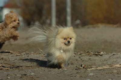 Apr30_07_107.JPG