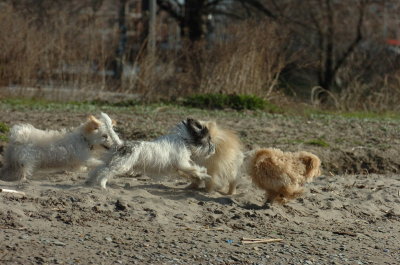 Apr30_07_114.JPG