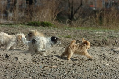 Apr30_07_115.JPG