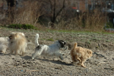 Apr30_07_116.JPG