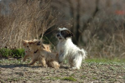 Apr30_07_118.JPG