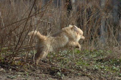 Apr30_07_120.JPG