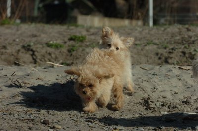 Apr30_07_128.JPG