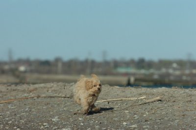 Apr30_07_134.JPG