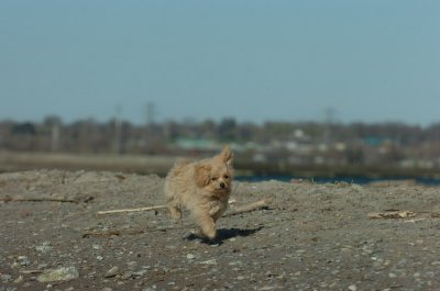 Apr30_07_135.JPG