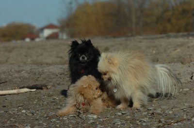 Apr30_07_139.JPG