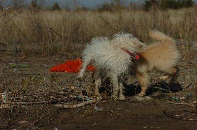 May8_07_1057.JPG