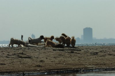 May8_07_1082.JPG