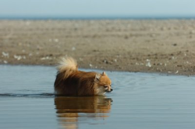 May8_07_1101.JPG