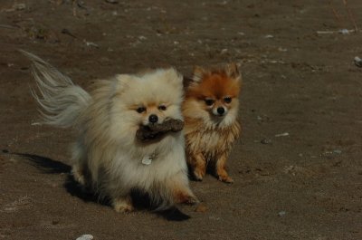 May8_07_819.JPG