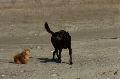 May8_07_824.JPG