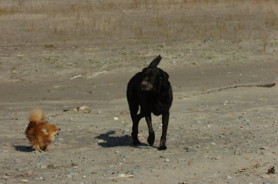 May8_07_826.JPG