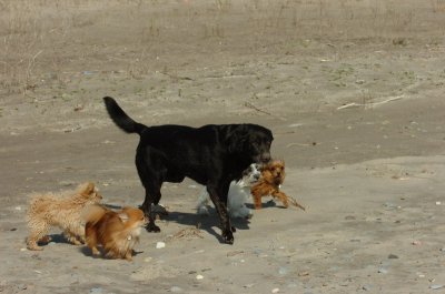 May8_07_833.JPG