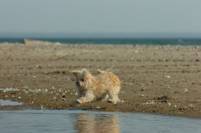 May8_07_851.JPG