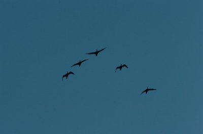 May8_07_365.JPG