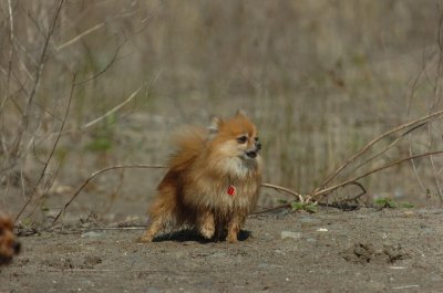 May8_07_369.JPG