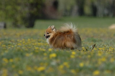 May8_07_207.JPG