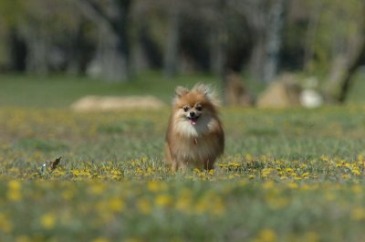 May8_07_209.JPG