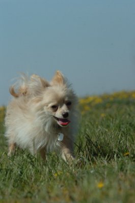 May8_07_224.JPG