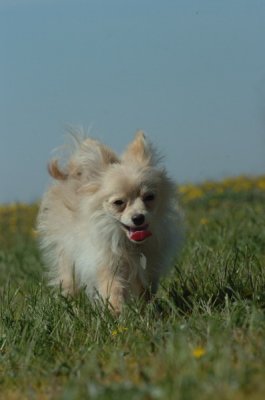 May8_07_225.JPG