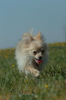 May8_07_226.JPG