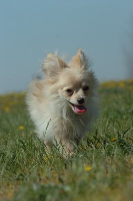 May8_07_227.JPG