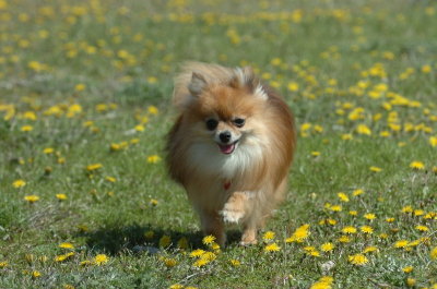 May8_07_063.JPG