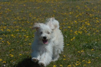 May8_07_067.JPG