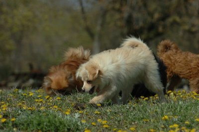 May8_07_074.JPG