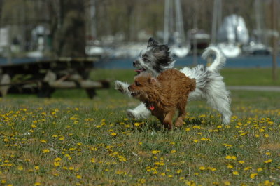 May8_07_084.JPG