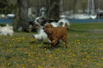 May8_07_085.JPG