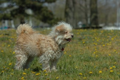 May8_07_091.JPG