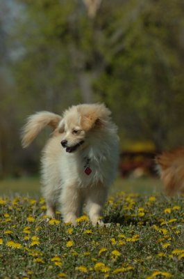 May8_07_097.JPG