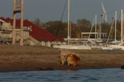 May11_07_203.JPG