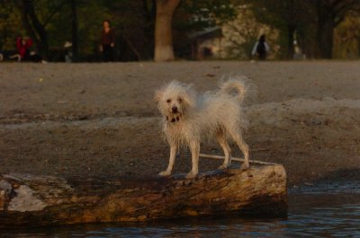 May11_07_226.JPG