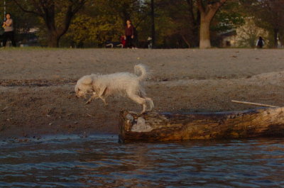 May11_07_227.JPG