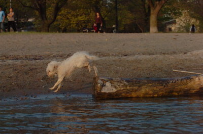 May11_07_228.JPG