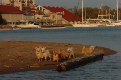 May11_07_262.JPG
