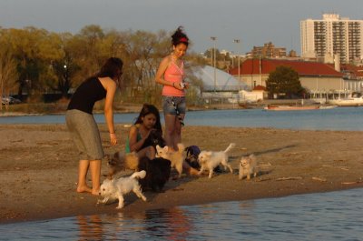 May11_07_268.JPG