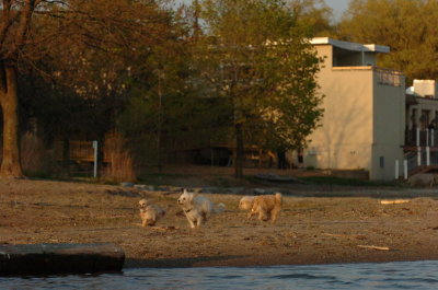 May11_07_273.JPG