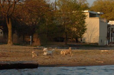 May11_07_274.JPG