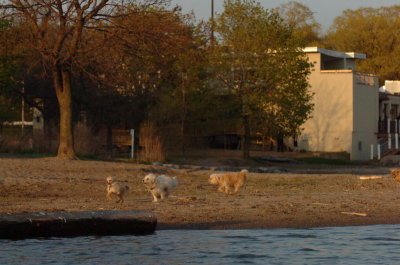 May11_07_275.JPG