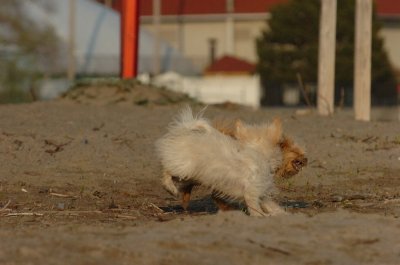 May11_07_051.JPG