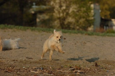 May11_07_059.JPG