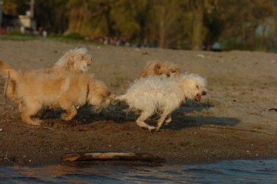 May11_07_082.JPG