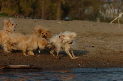May11_07_083.JPG