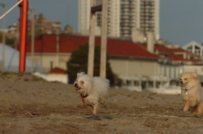 May11_07_093.JPG